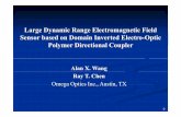 Large Dynamic Range Electromagnetic FieldLarge ... - MURImuri.engr.utexas.edu/sites/default/files/spin-off-programs/Project5.pdf · ¾E-O Polymer Photonic EM Wave Sensor Characterization