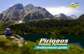 Pirineus - ACTact.gencat.cat/wp-content/uploads/2013/05/Guia_professional_Pirine… · reflection of its people’s outlook, which con-tributes to forging the character, culture and