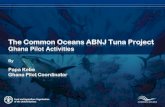 The Common Oceans ABNJ Tuna Project KEBE Ghana...Papa Kebe Ghana Pilot Coordinator The Tuna Project, with a total budget of USD 178 million of which 30 million is a GEF grant, is the