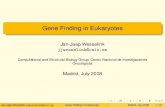 Gene Finding in Eukaryotesubio.bioinfo.cnio.es/Cursos/cursoVerano2008/madrid08/gene_finding... · Gene Finding in Eukaryotes Jan-Jaap Wesselink jjwesselink@cnio.es Computational and
