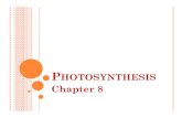 12.2.12-Photosynthesis Cellular Respiration PowerPoint...ADP (ADENOSINE DIPHOSPHATE) Same as ATP, but with only two phosphate groups. When a cell has extra energy, it stores it by