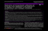 Reduction of intraarticular adhesion of knee by local application … · 2017. 8. 29. · RESEARCH ARTICLE Open Access Reduction of intraarticular adhesion of knee by local application