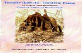PRICEfaunaofindia.nic.in/PDFVolumes/occpapers/223/index.pdf · 2015. 7. 22. · OCCASIONAL PAPER NO. 223 RECORDS OF THE ZOOLOGICAL SURVEY OF INDIA Termite (Insecta: Isoptera) Fauna