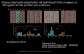 Placement and orientation of individual DNA shapes on …nanoandes2017.df.uba.ar/wp-content/uploads/sites/13/2017/... · 2017. 12. 12. · imposed to the chip carrier image and chip’s