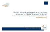Identification of pathogenic mechanisms involved in DEPDC5 ......mTORC1 is an ubiquitous cellular pathway DEPDC5, a repressor of mTORC1 Identification of novel mechanisms in DEPDC5-related
