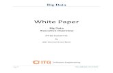 White Paper - Software...Big Data Design Principles This is the Hadoop architecture for storing and querying data within HDFS. Data Ingestion & Storage: Data ingestion (unstructured