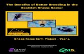 The Benefits of Better Breeding in the Scottish Sheep SectorThe Benefits of Better Breeding in the Scottish Sheep Sector Sheep Focus Farm Project – Year 4 Telephone: 01463 811 804