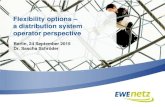 Flexibility options – a distribution system operator ... · operator perspective Berlin, 24 September 2015 Dr. Sascha Schröder . EWE NETZ: Caring for reliable and modern distribution