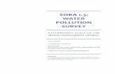 SOBA 1.3: Water POllution survey 1.3_water_pollution_2017_F.pdfDec 21, 2017  · with specific reference to the industrial, urban, mining and agriculture sectors of land use. There