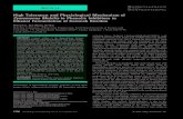 High tolerance and physiological mechanism of Zymomonas ... Tolerance and...Zymomonas Mobilis to Phenolic Inhibitors in Ethanol Fermentation of Corncob Residue Hanqi Gu, Jian Zhang,
