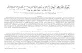 Taxonomy of some species of Anguina Scopoli, 1777 (sensu ...horizon.documentation.ird.fr/exl-doc/pleins_textes/pleins_textes_5/pt… · Taxonomy of some species of Anguina Scopoli,