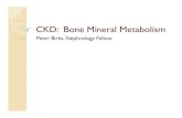 CKD: Bone Mineral Metabolism - BC Renal Agency metabolism... · 2020. 3. 26. · PTH The optimal level of PTH is not clear in CKD Treat reversible causes (low Ca, high PO4) in progressively