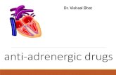 Adrenergic and anti-adrenergic drugs - ManipalBlog...Nervous system With neurotransmitters norepinephrine and acetylcholine *Either “fight and flight” mode or “rest and digest”