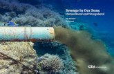 Sewage in Our Seas · 2020. 8. 21. · Sewage in ur Seas: Unonitored and Unreulated 3 Very few countries around the world effectively regulate sources of coastal water pollution,