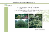 European bird cherry ( European bird cherry (Prunus padus L.) – a …orgprints.org/14845/1/met61.pdf · 2010. 4. 20. · A proposal to study the genetic variation of European bird