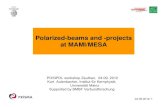 Polarized-beams and -projects at MAMI/MESA · 04.09.2012/ 1 Polarized-beams and -projects at MAMI/MESA POSIPOL workshop Zeuthen, 04.09. 2012 Kurt Aulenbacher, Institut für Kernphysik,