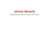 Urine Bench...Urine specimen Normally urine is a sterile body fluid The bladder and urinary tract are sterile, the urethra may contain commensals Presence of bacteria in urine called