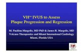 VH IVUS to Assess Plaque Progression and Regressionlesions will have an ACS the following year and 6% will die (Goldstein NEJM 2000). • In a well medicated patient population (e.g.