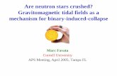 Are neutron stars crushed? Gravitomagnetic tidal fields as a …hosting.astro.cornell.edu/~favata/talks/wmm/crushingAPS... · 2005. 6. 28. · density is small, but could, in principle,