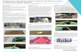 Comparison of Procedures Used to Separate the Different ......layers of the skin were placed in individual Eppendorf tubes and stored frozen at