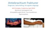 Diagnose, behandling, kirurgiske adgangeao-danmark.dk/.../2020/02/ML-AO-basic-2019-Antebrachium.pdf · 2020. 2. 3. · Monteggia Vinkelgips i 3 uger, med underarmen i den position