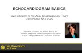 ECHOCARDIOGRAM BASICS Iowa Chapter of the ACC ......1. Long axis –standard, RV inflow, RVOT 2. Short axis –base, mitral valve, mid LV B. Apical window 1. 4 chamber 2. 5 chamber
