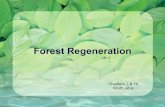 Forest Regeneration - University of Washingtoncourses.washington.edu/fm323/NotesNotes/Forest...6 Artificial Regeneration ! Planting stock ! bare-root seedlings ↑ light, easy transportation