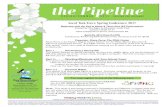 PAGE 1 the Pipeline · 2017. 3. 1. · PAGE 1 THE PIPELINE SPRING/SUMMER 2017 Carbon Lehigh Intermediate Unit #21 4210 Independence Drive Schnecksville, PA 18078-2580 610-769-4111,
