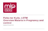 Feiko ter Kuile, LSTM Overview Malaria in Pregnancy and …...of Malaria in Pregnancy WHO AFRO ’Strategic framework for malaria prevention and control during pregnancy’ Other WHO