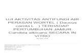 VITRO Candida albicans SECARA IN PERTUMBUHAN JAMUR …repo.stikesicme-jbg.ac.id/3436/3/8.T Nur Lina.pdf · 2020. 7. 23. · membuat antifungi dari air perasan umbi ... larutan wonel