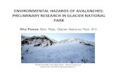 ENVIRONMENTAL HAZARDS OF AVALANCHES ......ENVIRONMENTAL HAZARDS OF AVALANCHES: PRELIMINARY RESEARCH IN GLACIER NATIONAL PARK Site Focus: Balu Pass, Glacier National Park, B.C.Avalanche