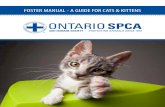 FOSTER MANUAL - A GUIDE FOR CATS & KITTENS...Cats and kittens fostered for the Ontario SPCA are required to be transported in a secure carrier or cage, covered with a light towel or