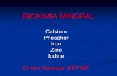 BIOKIMIA MINERALprodid4gizi.poltekkes-malang.ac.id/downlot.php?file=MK...BIOKIMIA MINERAL Calsium Phosphor Iron Zinc Iodine Dr Nur Rahman, STP MP CALCIUM Jumlah mineral paling banyak