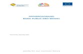PPP4BROADBAND BASIC PUBLIC DBO MODEL - dex-ic.comdex-ic.com/data/filecache/cc/BASIC-Public-DBO-MODEL.pdf · Feasibility ... 101. 3 7.1. Procurement notice & Shortlisting ... Broadband