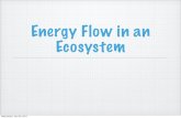 Energy Flow in an Ecosystem - Ms. kropacmskropac.weebly.com/uploads/2/4/9/7/24970344/energy_flow.pdf · 2019. 10. 28. · Energy Pyramids The movement of energy through an ecosystem