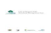 City of Niagara Falls · The City of Niagara Falls Woodland Management Plan was advanced as a local partnership project between the City of Niagara Falls, the Niagara Peninsula Conservation