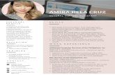 Modern Professional Resume€¦ · Modern Professional Resume Author: Amira Dela Cruz Keywords: DAD8IwAy5_8,BADthOf60RM Created Date: 5/18/2020 4:22:10 AM ...