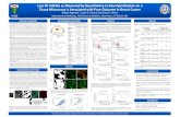 Seema AACR 2012 Poster-v01REV - Pathology · 2014. 12. 15. · Seema_AACR 2012 Poster-v01REV.pptx Author: Sarah Whitaker Created Date: 20120403205559Z ...
