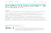 High-quality genome sequence assembly of R.A73 Enterococcus … · 2020. 10. 23. · Background: Whole-genome sequencing using high throughput technologies has revolutionized and