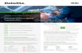 Deloitte PowerPoint template...• Create & update customer / vendor master data • Review & approve customer orders against credit limits • Input invoices into an accounting system