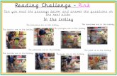 Reading Challenge - PinkPink · 2020. 11. 18. · The bananas are in the trolley. The oranges are in the trolley. The tomatoes are in the trolley. ... Firefighters climb up the ladders