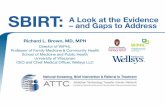 SBIRT: A Look at the Evidence – and Gaps to Address - A look at the evidence _ Dr. Richard...A Look at the Evidence – and Gaps to Address Richard L. Brown, MD, MPH Director of