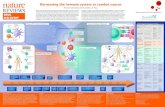 Harnessing the immune system to combat cancerHarnessing the immune system to combat cancer W. Joost Lesterhuis and Cornelis J. A. Punt Efforts to harness the immune system to treat