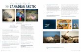 Churchill Wild has several luxury lodges in the Arctic. Seal ...churchillwild.com/wp-content/uploads/2018/04/Family...Lodge in the Canadian Arctic. It sits in the heart of the Hudson