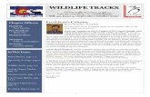 WILDLIFE TRACKSTRACKS · Ryan- He will be giving a presentation to Western State Colorado University on 9/13/13 at 3pm. Adjourn: 9:43am. 6 Upcoming Meeting . ... Squirrel (Tamiasciurus