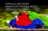 OvulatiOn inductiOn (Oi) · Ovulation induction is the term for the use of medical therapy to treat women who do not ovulate by themselves. Hormonal medications are used to stimulate