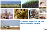 The Indian Sugar Industry · 2020. 12. 3. · The Indian Sugar Sector 2nd largest producer of sugar in the world Around 5 million hectares of land Producing about 350 million tons