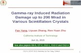 Gamma-ray Induced Radiation Damage up to 200 Mrad in ...hep.caltech.edu/~zhu/talks/fan_scint15_Gamma induced...Gamma-ray Induced Radiation Damage up to 200 Mrad in Various Scintillation
