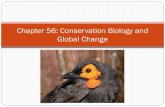 Chapter 56: Conservation Biology and Global Changespeedwaybiology.weebly.com/uploads/1/.../ap_biology... · Biodiversity Conservation biology is a goal-oriented science that seeks