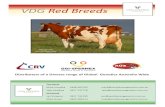 VDG Red Breeds - Van Diemen Geneticsvandiemengenetics.com.au/wp-content/uploads/2020/08/0820... · 2020. 8. 26. · VDG Red Breeds Tasmania Mark Handley 0448 487264 mark@vandiemengenetics.com.au